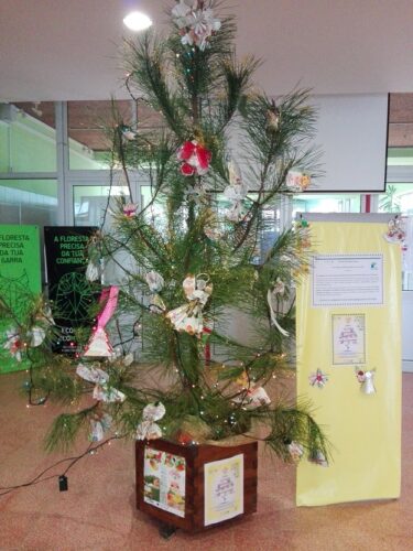 Árvore de Natal num pinheiro natural, proveniente de uma gestão florestal sustentável da Floresta Encantada da Tapada Nacional de Mafra - colocada no átrio principal da escola com os enfeites produzidos pelos alunos.